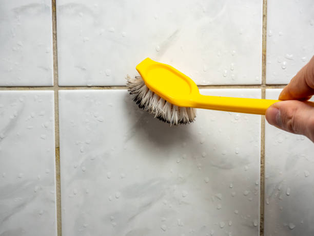 Best Industrial Mold Remediation in Fourche Crossing, LA
