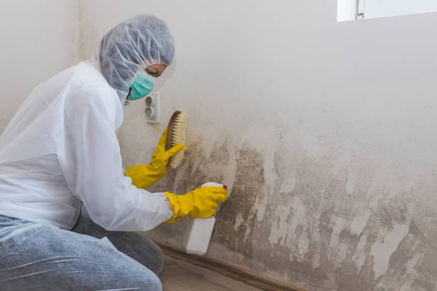 Best Post-Remediation Services in Fourche Crossing, LA