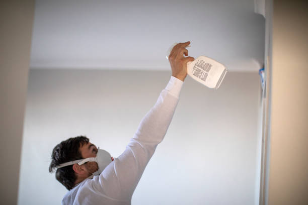 Best Black Mold Remediation in Fourche Crossing, LA
